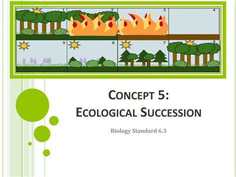 Ppt Concept 5 Ecological Succession Powerpoint Presentation Free