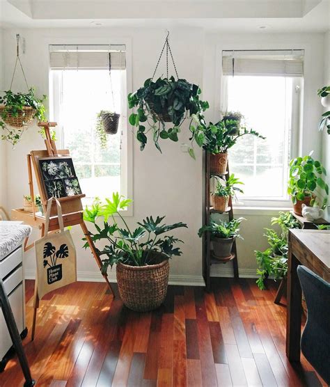 Home Decoration Ideas With Indoor Plants