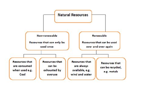 Natural Resources Types Of Natural Resources Its Importance And Ways