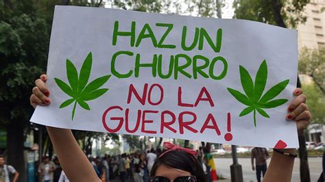 Nueva Encuesta El 65 Apoya En México La Legalización De La Marihuana Medicinal