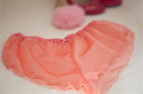 Pink Sheer Chiffon French Knickers Panties See Through Sexy Lingerie
