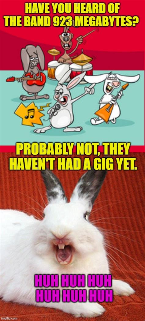 Corny Rabbit Joke Imgflip