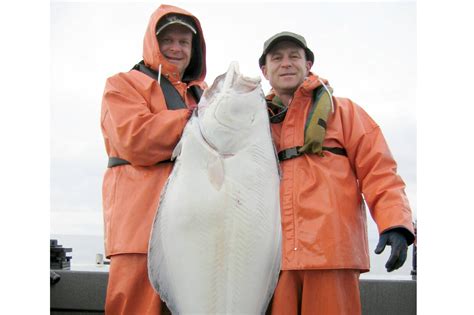 Outdoors Days Added Daily Limit Increased For Halibut Peninsula Daily News