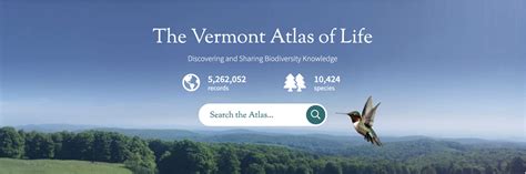 Big Biodiversity Data Now At Your Fingertips Vermont Center For