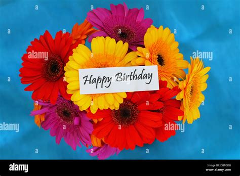 Happy Birthday Card Yellow Daisies Hi Res Stock Photography And Images