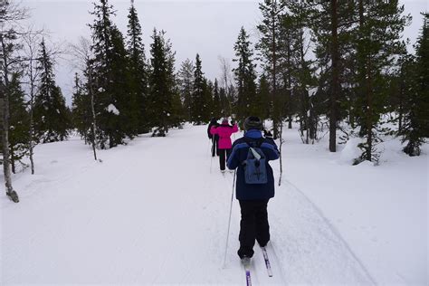 Cross country skiing landscape and terrain that rivals the best in the world, falls creek has up to 65km of groomed trails that are now open falls creek is australia's home of cross country skiing. File:Cross Country Skiing (6827042104).jpg - Wikimedia Commons