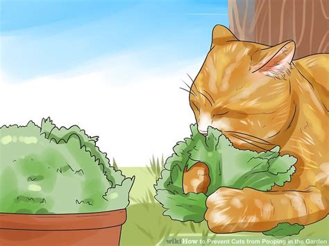 If your own cats or neighborhood cats use your garden as a litter box, you can discourage use wire cutters to create holes for your plants, and bend the ends of the wire down, pressing them into the ground. Expert Advice on How to Prevent Cats from Pooping in the ...
