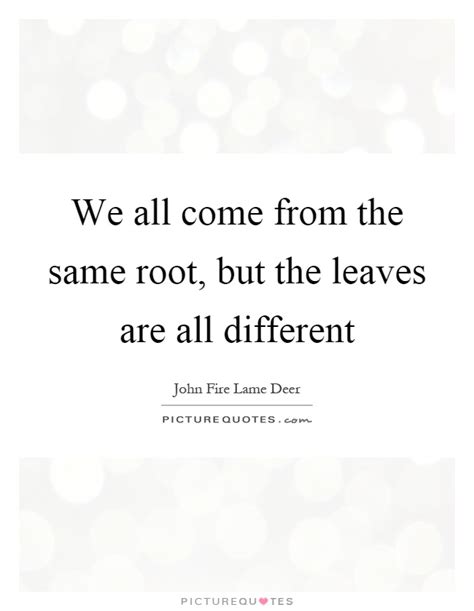 Same But Different Quotes And Sayings Same But Different Picture Quotes