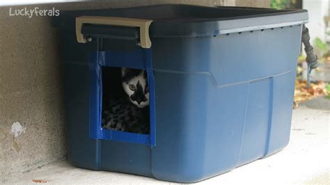 10 Ways To Get A Cat To Use A Feral Cat Shelter Lucky Ferals