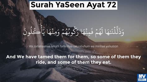 Surah Yaseen Ayat 72 3672 Quran With Tafsir My Islam