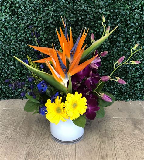 Bold Colorful In Fort Myers Fl Ruth Messmer Florist