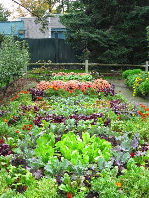 All About Womens Things Vegetable Gardening A Hobby For Everyone
