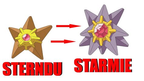 Sterndu Entwicklung Zu Starmie Staryu Evolution To Starmie Pokemon