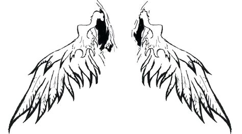 Feather Wings Drawing Free Download On Clipartmag