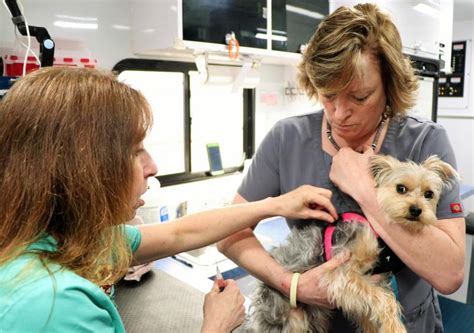 Let's fix this offers free spay/neuter services to pet owners in specific. Pet owners attend low-cost rabies clinic | Wareham