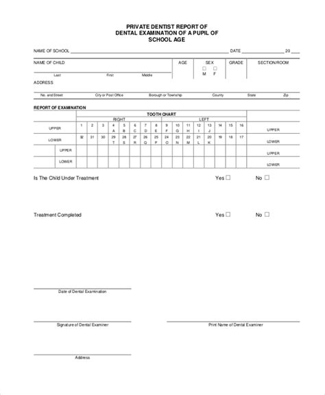 Free 14 Sample Examination Forms In Pdf Word Excel