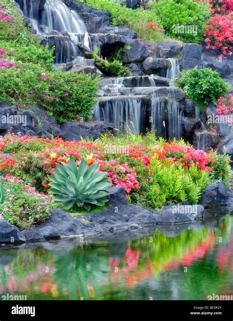Waterfalls In Hawaii Most Beautiful Flower