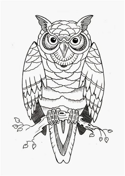 Owl On Tree Branch Owl Tattoo Drawings Owls Drawing Tattoo Sketches