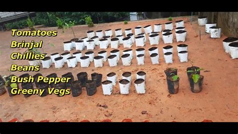 How To Set An Organic Vegetable Grow Bag Farming Unit Stage 2