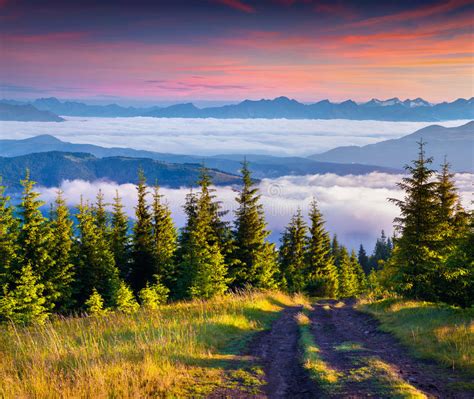 Dramatic Summer Sunrise In The Foggy Carpathian Mountains Stock Image