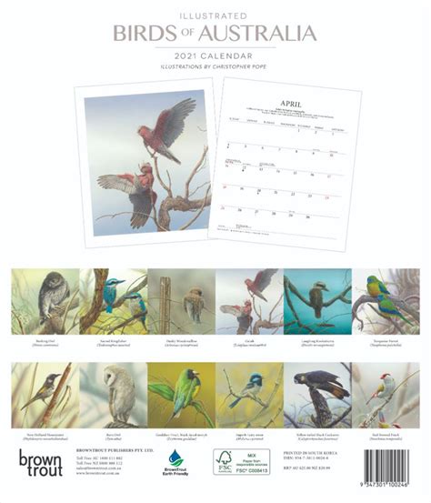 2021 Calendar Illustrated Birds Of Australia Deluxe Wall By Browntrout