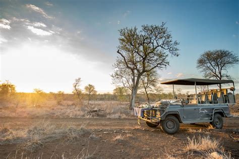 African Safaris What To Expect On A Typical Day Ubuntu Travel