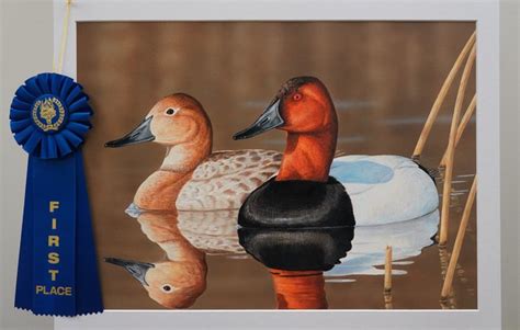 Indiana Artist Wins 2020 Duck Stamp Art Contest Oakdale Leader