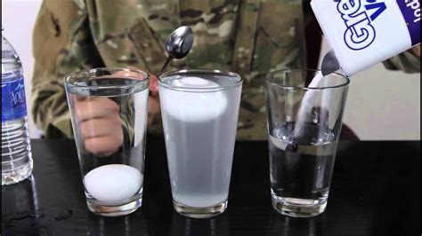 Float An Egg In The Middle Of Salt Water Water Density