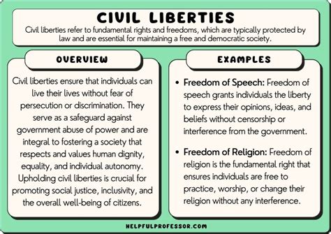 18 Civil Liberties Examples 2024