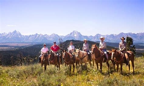 Horseback Riding In The Bridger Teton National Forest Horseback