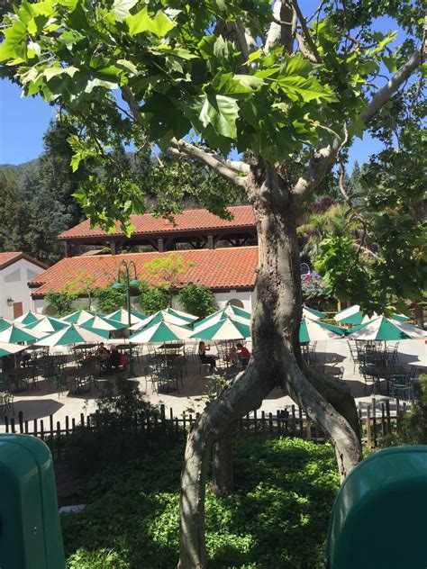 Rides include the quicksilver express mine coaster themed after a local abandoned mine, south county backroads and gilroy gardens very own railroad! Gilroy Gardens Family Theme Park - 514 Photos - Amusement ...