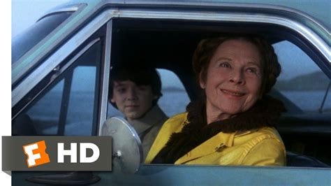Harold And Maude [1971] Movies To Watch Online Helperwired