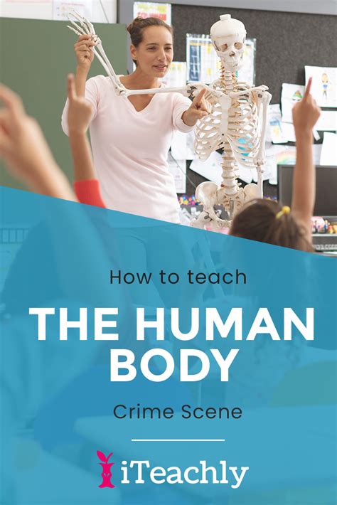 High School Biology Teacher Human Body Systems Projects Human Body Systems Body Systems Project