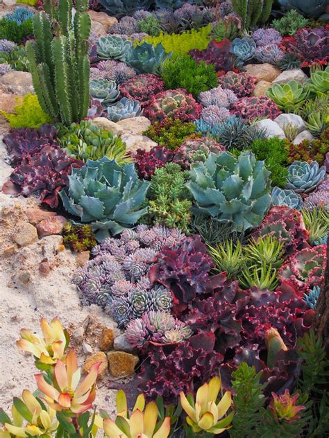 A rock garden, also known as a rockery or an alpine garden, is a small field or plot of ground designed to feature and emphasize a variety landscaping edging. 8 GARDEN TASKS YOU NEED TO COMPLETE IN MARCH | Succulent ...