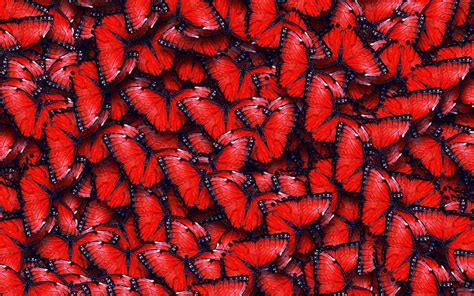 Glitter Sfondi Farfalle Tumblr Gratuiti A Scopo Commerciale Immagini Di