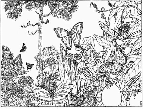 13 Coloring Pages Nature For Kids Images Colorist