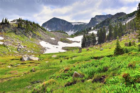 High Altitude Alpine Tundra In Colorado During Summer 1324549 Stock