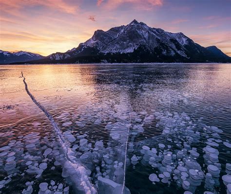 Frozen Bubbles Alberta Bing Wallpaper Download