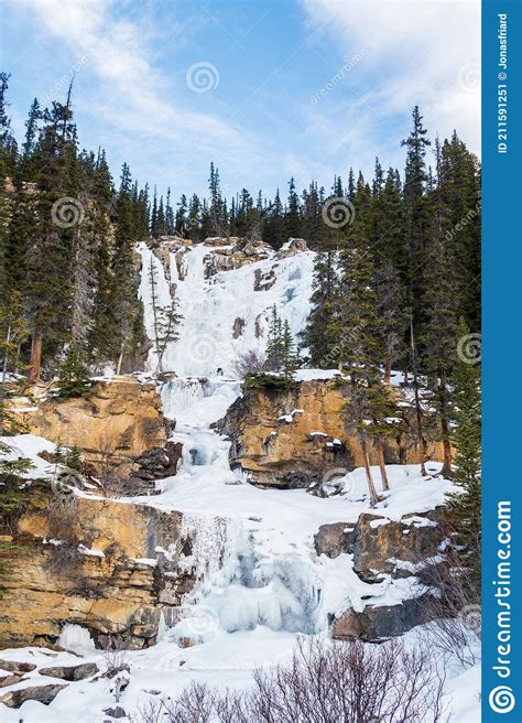 Frozen Tangle Creek Falls In Jasper National Park Stock Image Image