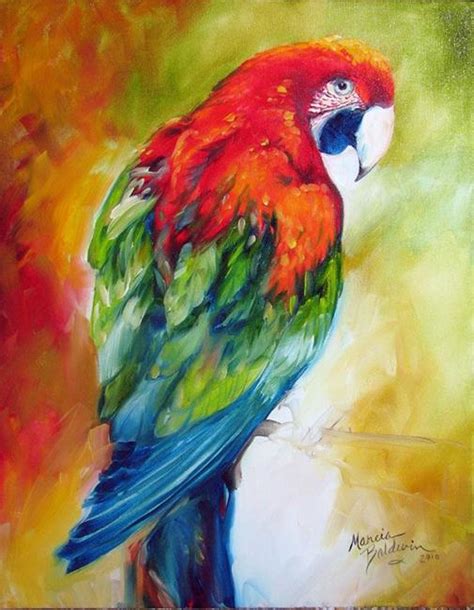 Macaw Parrot Ii By Marcia Baldwin From Wildlife