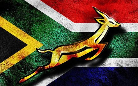 South Africa Springboks Get Massive Send Off For Rugby World Cup As My Xxx Hot Girl