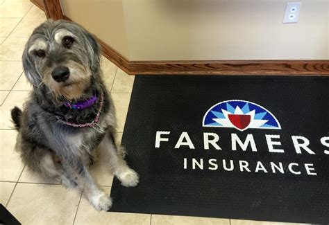 Pet insurance quotes not only vary by age and breed but also where you live. Ohio-Pet-Insurance - McKinnon Insurance