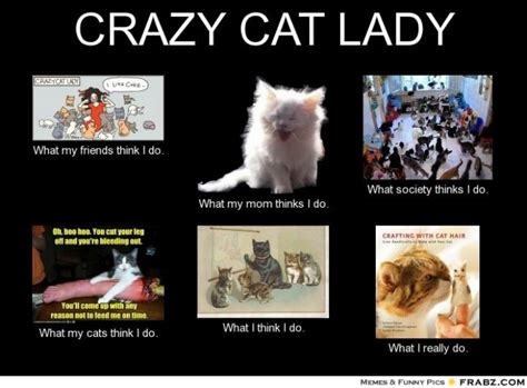 Crazy Cat Lady Crazy Cats Crazy Cat Lady Crazy Cat Lady Meme