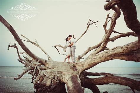 Driftwood Beach Wedding Jekyll Island Beach Weddings In