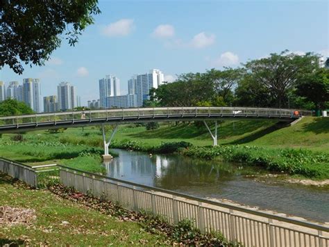 Bishan Ang Mo Kio Park And Lower Peirce Reservoir Singapore 10000 Birds