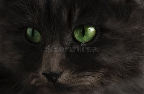 Black And Fluffy Cat With Green Eyes Close Up Stock Illustration