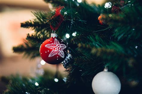 Close Up Photo Of A Christmas Tree Branch With Falling Snow Pixeor