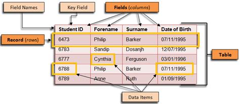 The Database Concept What How Examples And Summary