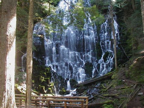 Ramona Falls Loop Hike Hiking In Portland Oregon And Washington