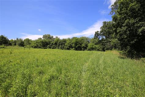 Illinois Farm And Hunting Land For Sale At Auction For Sale In Claremont
